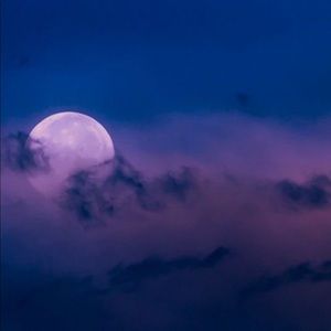 Meet your Posher, Nathaniel